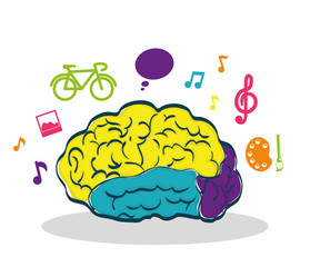 Human organ. Brain and creative  icon. vector graphic