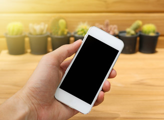 Man hand holding mobile phone blank screen with cactus and wood
