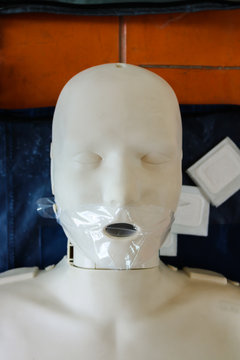 Emergency training model is equipment for training CPR.