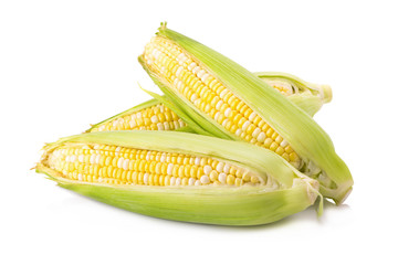 Corn on white background