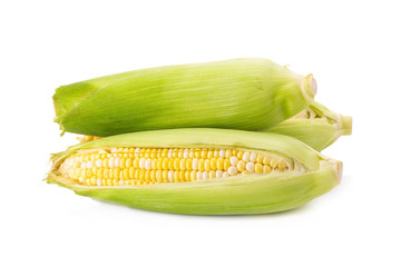Corn on white background