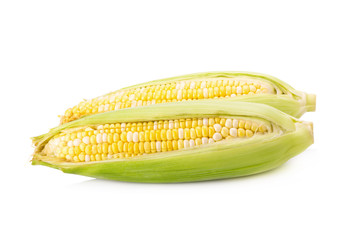 Corn on white background