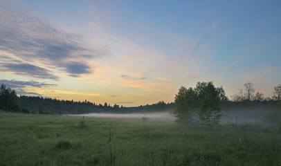 Misty summer morning