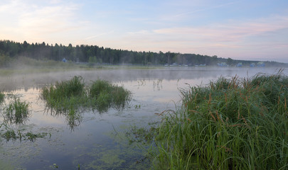 Misty summer morning