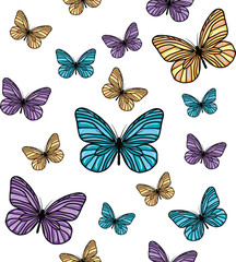 Fototapeta na wymiar Butterfly patterns