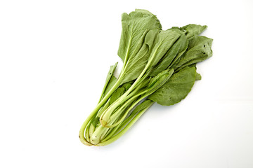 Spinach on white background