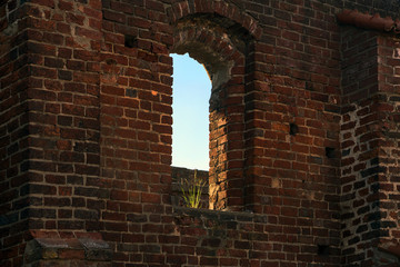 window with a tuft of grass in a brick wall of the monastery ruin, Bad Doberan, northern Germany