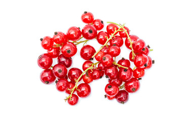 Красная смородина на белом фоне
