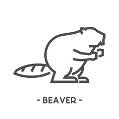 Vector outline figure of beaver - obrazy, fototapety, plakaty