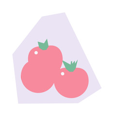 Tomato pack vector illustration.