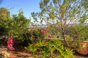 Golan Heights views of Mount