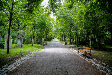 Friedhof Sankt Marx in Wien in Österreich