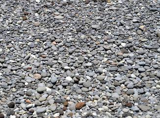 Pebble beach in Playa de las Americas Tenerife