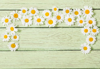 Obraz premium chamomile flower over green wooden background
