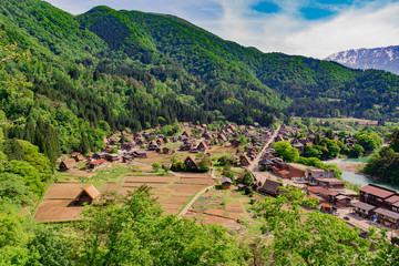 Obraz premium Shirakawa village