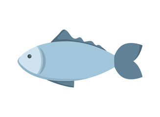 Fish animal icon. Sea life design. vector graphic