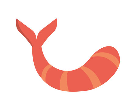 Schrimp icon. Food design. vector graphic