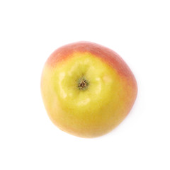 Ripe red and golden jonagold apple