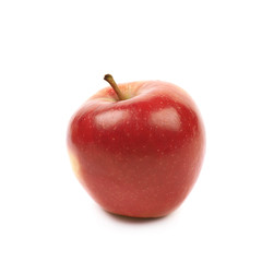 Ripe red and golden jonagold apple