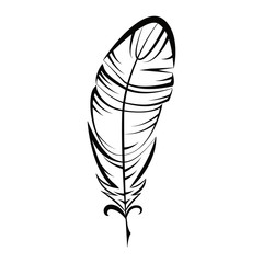 illustration feather, hand drawn silhouette of quill in black