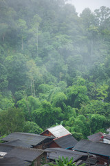 Cottage with white roof in the middle of the village.