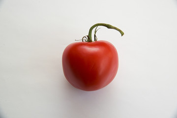 Fresh red tomatoes on a green branch on a light background