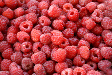 Rasberry background