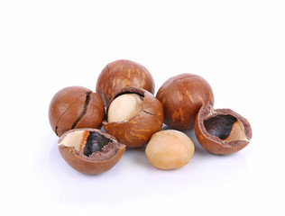 Macadamia nut on white background