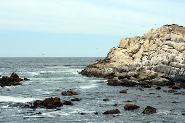 Fototapeta na wymiar Rocky beach in Vina del Mar.