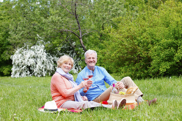 Lovely senior couple having picnic and relaxing outdoors