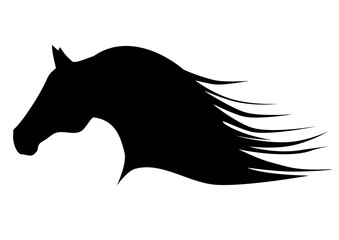 Horse arab logo vector 