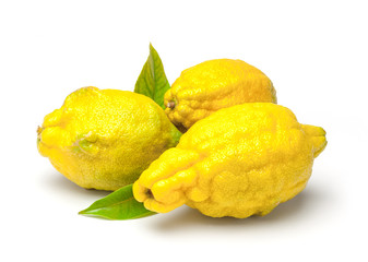 Rough lemon (Citrus jambhiri Lush.)