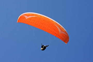 Paraglider