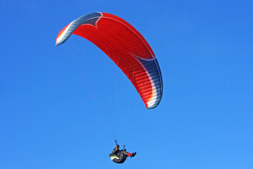 Paraglider
