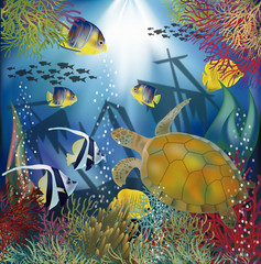 Underwater wallpaper with sea turtle, vector illustration