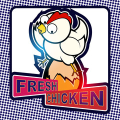 chicken sitting on egg