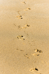 pas dans le sable
