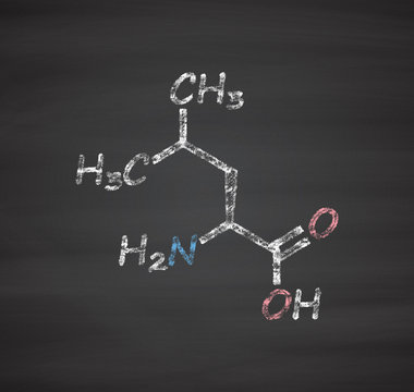 Leucine (l-leucine, Leu, L) Amino Acid Molecule.