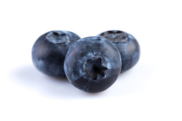 Blueberries on white background