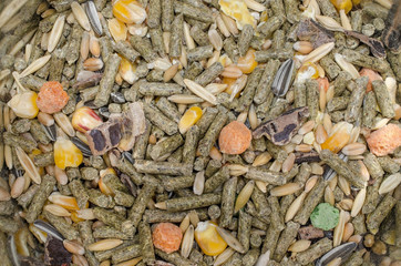 Bilder und Videos suchen: meerschweinchenfutter - 240 F 113837637 3bIUDLmF6qBQH4hwrDbl6A0ZL7v2PjFI