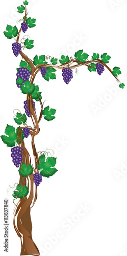 christian cross with tree and grape vine