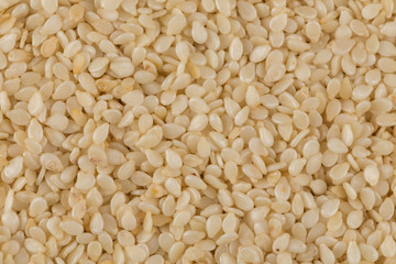 Closeup of lots of sesame seeds