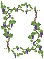 Floral frame with grapevine, grape clusters on a vine tree. Graphic element with copy space for text.