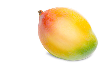 Mango isolated on white