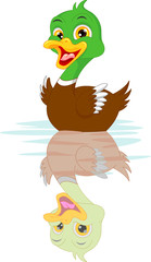Cartoon duck swimming