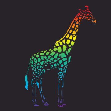 Vector raibow giraffe silhouette, abstract animal illustration. Safari giraffe can be used for background, card, print materials