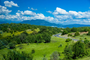 Naklejka premium photo of the forest