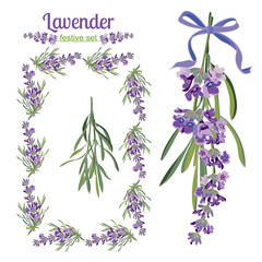 Fototapeta na wymiar Set festive frames and elements with Lavender flowers for greeting card. Botanical illustration.