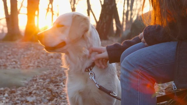 Best Friends - Teenage girl and her dog are having a break at sunset on a winter day