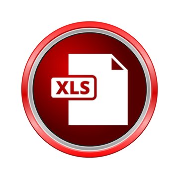 XLS icon, Internet button on white background